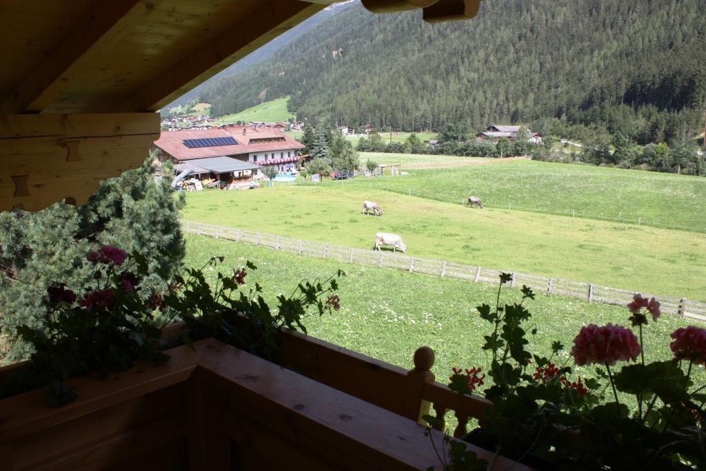 Landhaus Alpensonne Neustift im Stubaital Exterior photo